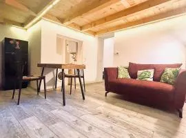 Luxury LOFT in Central Cluj