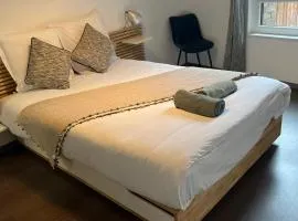 T2 - Balcon -15 min centre ville et Allemagne