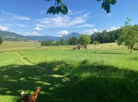 Ferienwohnung Mondsee-Irrsee