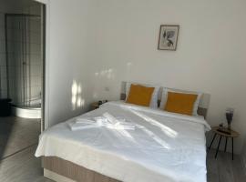 Alex House, hôtel à Făgăraş