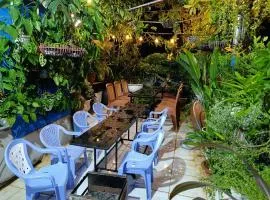 NHÀ NGUYÊN CĂN VŨNG TÀU DUNGVINH'S HOME