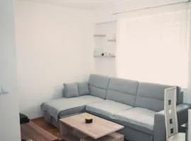 Apartment Crny