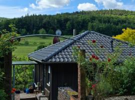 Miltenberg Ferienhaus, vila v destinaci Rüdenau