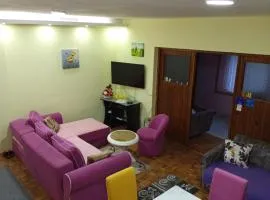 Apartman Vesna