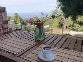 Halkidiki Kassandra villa 3P Exclusive Peace & Beautiful Views