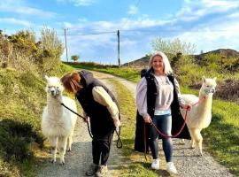 Short & Sweet Alpaca Retreat，位于Penrhos-Lligwy的农家乐