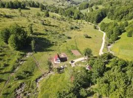 Cottage by the brook