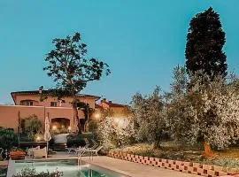 The Olive Grove in Tuscany