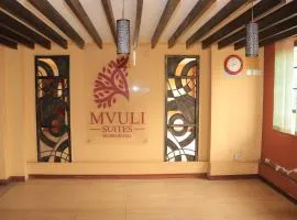 Mvuli studio apartments