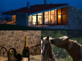 Niditas Suites and Horses