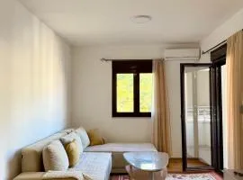 Apartman Dunja Bečići