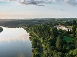 The Forest at Mount Congreve Gardens