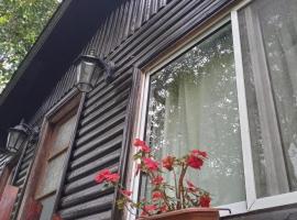 Cabaña mandala, hotel in Tigre