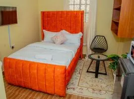 Pearl Luxe Studio with free WI-FI