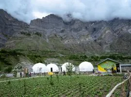 Camp The Sanga Manali