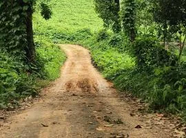Vasudha Eco Homestay