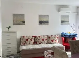 Loznica Centar Apartman