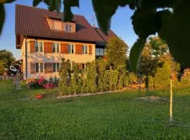 Ruhiges wohnen mit Bergblick