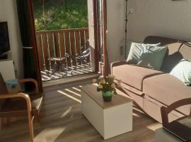 Petit nid douillet , T1 avec cuisine indépendante, au calme, proche centre ville，位于巴涅尔-德吕雄的酒店