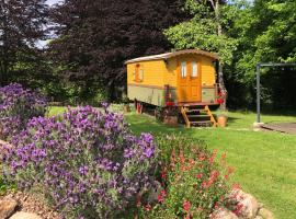 Roulotte La Chouette des Granges, glamping en Les Salles-Lavauguyon
