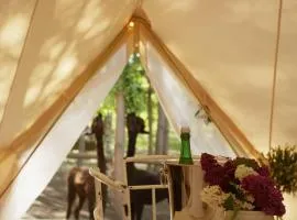 Glamping Visingsö