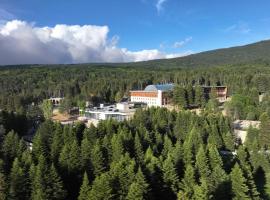 Swissotel Uludag Bursa, hotel v destinaci Bursa