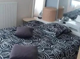 Maison rue Sonia Delaunay LE MANS