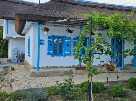 Casa cu stuf Murighiol、ムリギオルのホテル