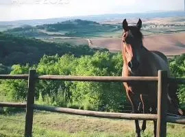 Agriturismo La Rugiada