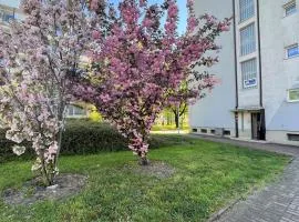 Al-dom Apartamenty Apartament II Mare 500m do morza