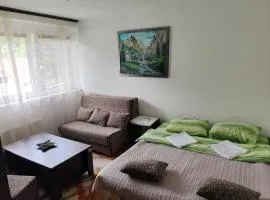 Apartman Sutjeska