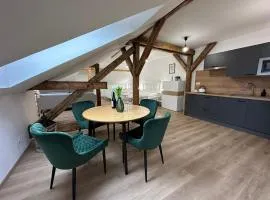 Vila Fráňa apartmán 3