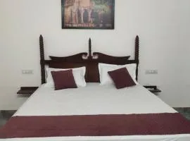 Ranthambore Grandview Mansion Hotel