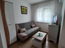 Apartman Vi&scaron;nja, acomoda&ccedil;&atilde;o em Gornja Toplica