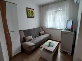 Apartman Višnja
