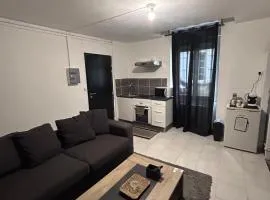 Appartement rez-de-chaussée, centre-ville