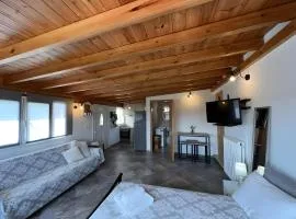 Violas Studio