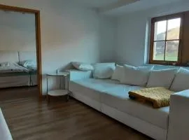 Renovierte Wohnung In Königstein