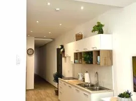 Tan-Nanniet Apartment
