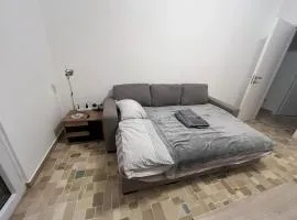 Single Room near Certosa Station