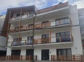 Busteniview