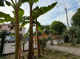 B&B Il Balcone Fiorito