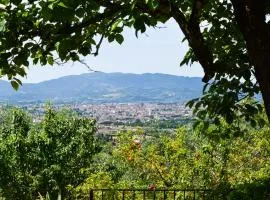 "La Salvia" - Villa Pacinotti