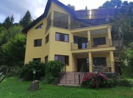Casa de vacanță Tarnița