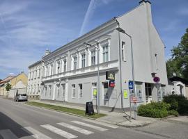 Wohnung am Stadtpark, hotel v destinaci Neunkirchen