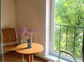 Centro apartamentai
