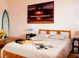 Alentejo Pig dog surf camp