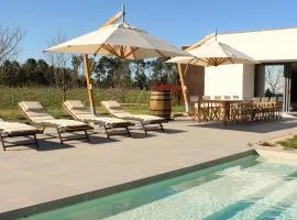 Lusus Wine House - Refúgio vínico com piscina no Dão