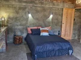Merwespont Guesthouses#DieHouthuis#Die Wyntenke#A Snoozer's Cottage#
