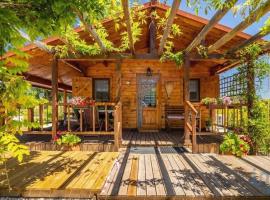 Chale dos Sobreiros, шале у місті Bicas